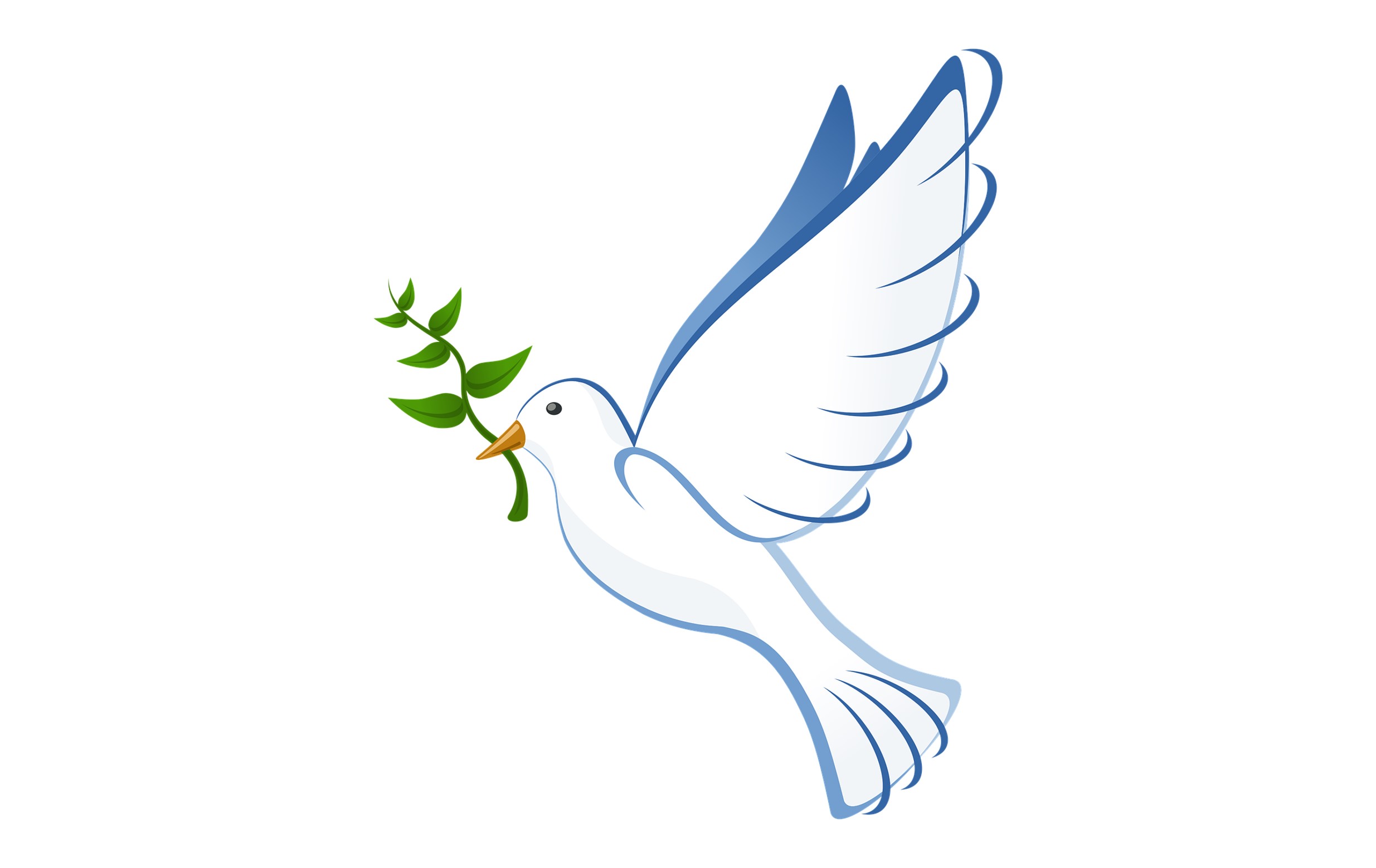 🕊️ MR LE JAOUEN 🕊️